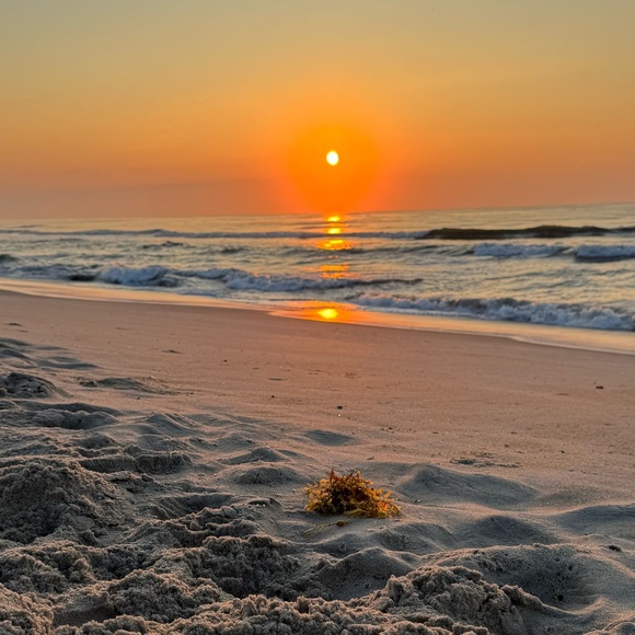 Meet the Posher Other - Meet your Posher, Harpie